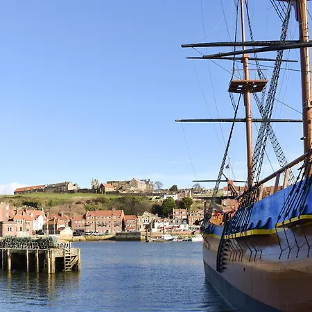 Calico Дом отдыха